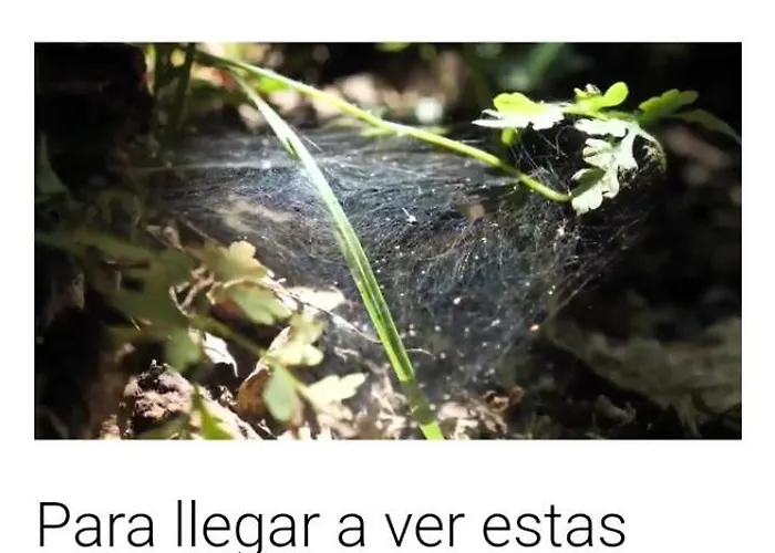 Casa Alba Apartamento Chan de Vilar